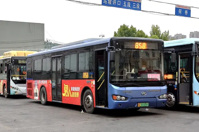 800BUS