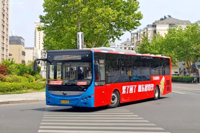 800BUS