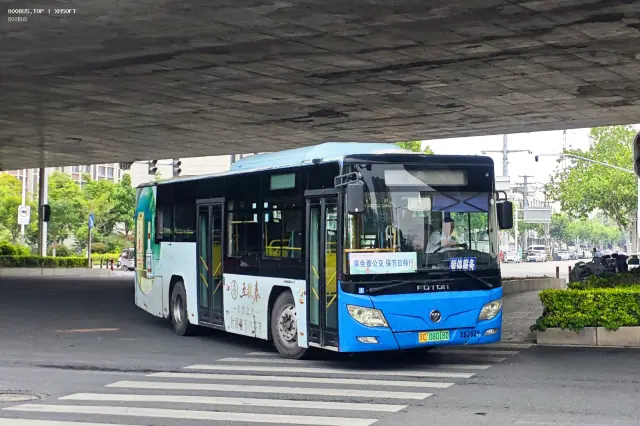 800BUS