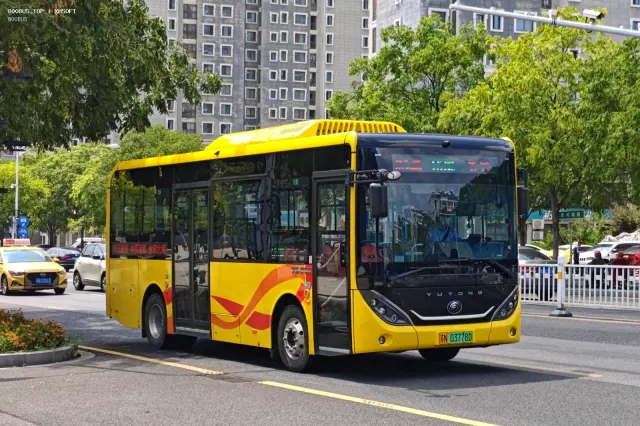 800BUS