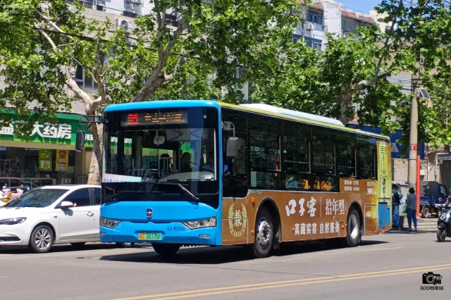 800BUS