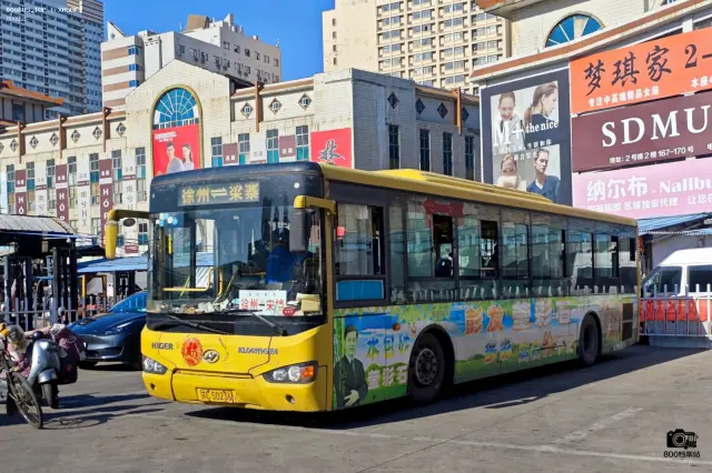 800BUS