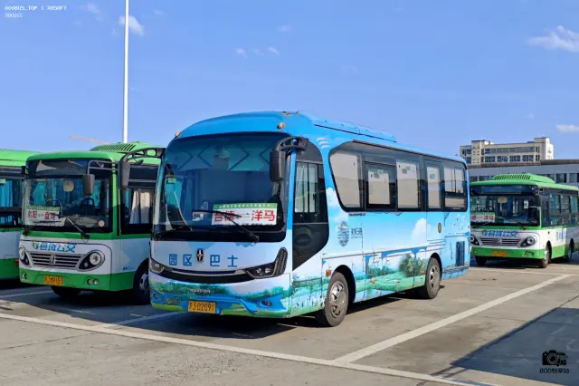 800BUS