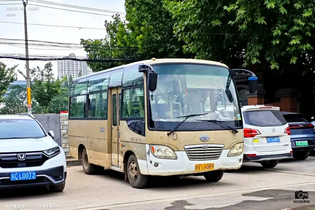 800BUS