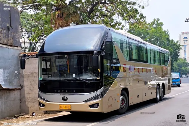 鲁H 37U03
