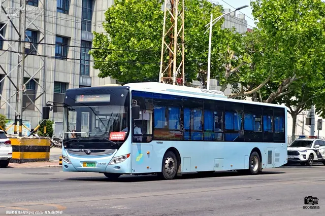 苏C 09666D