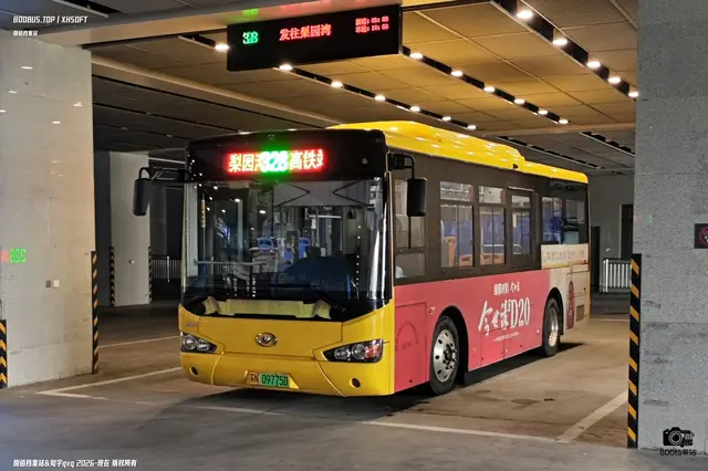 苏N 09775D