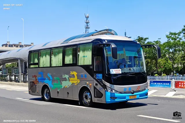 苏A 5D843