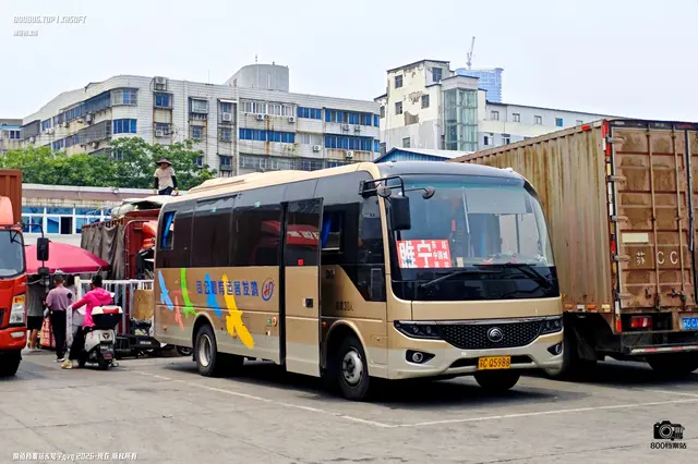 苏C Q5988