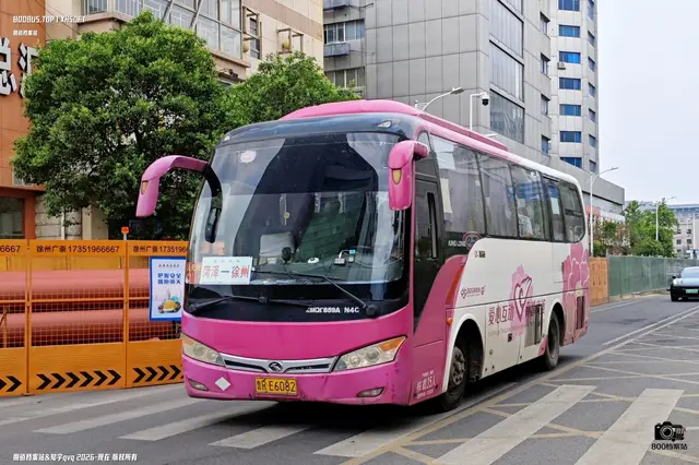 鲁R E6082