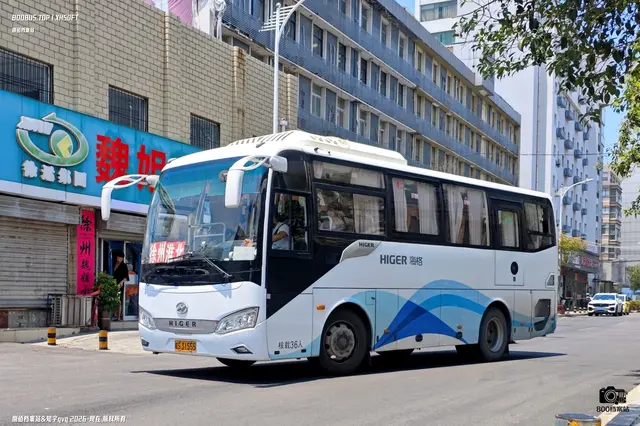 皖S 31555