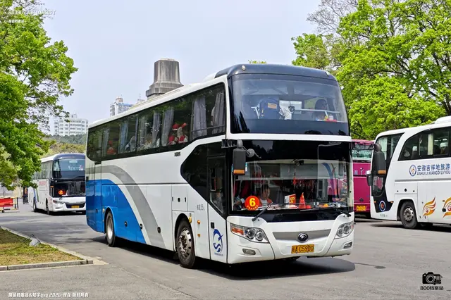 皖A C5900