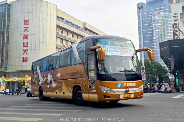 800BUS