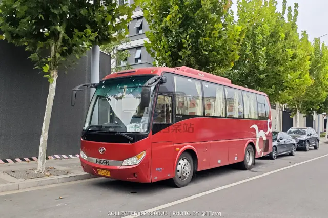 800BUS
