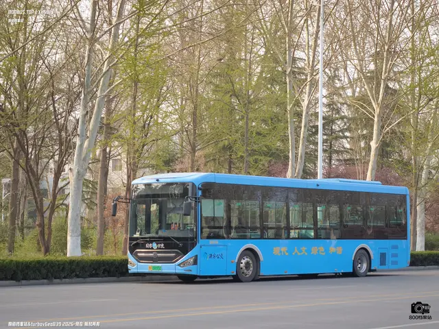 鲁H 09155D