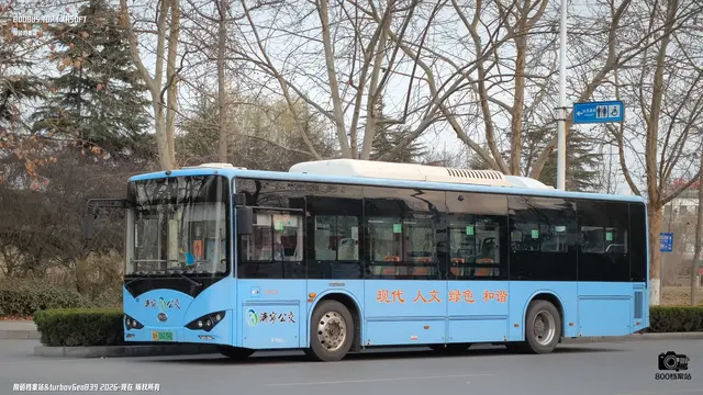 鲁H 08239D