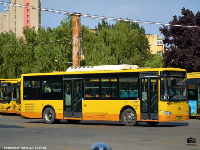 鲁H 07892D