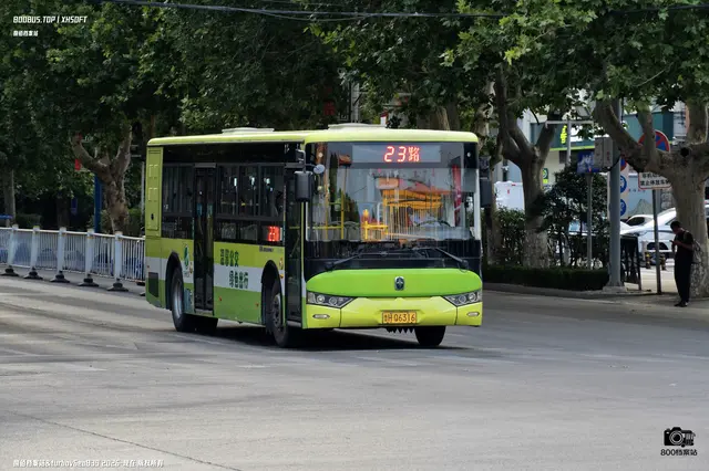 800BUS