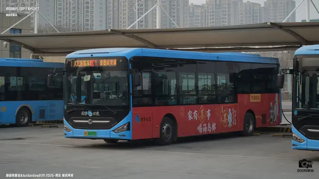 800BUS