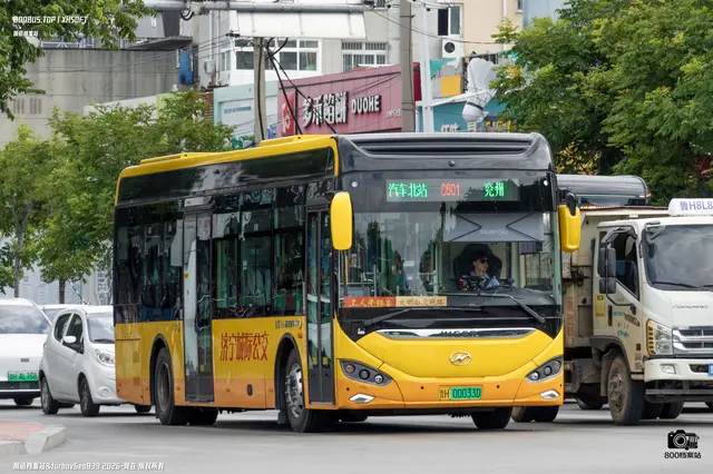鲁H 00033D