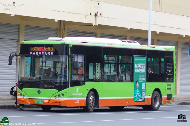 800BUS