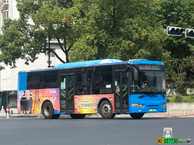 800BUS