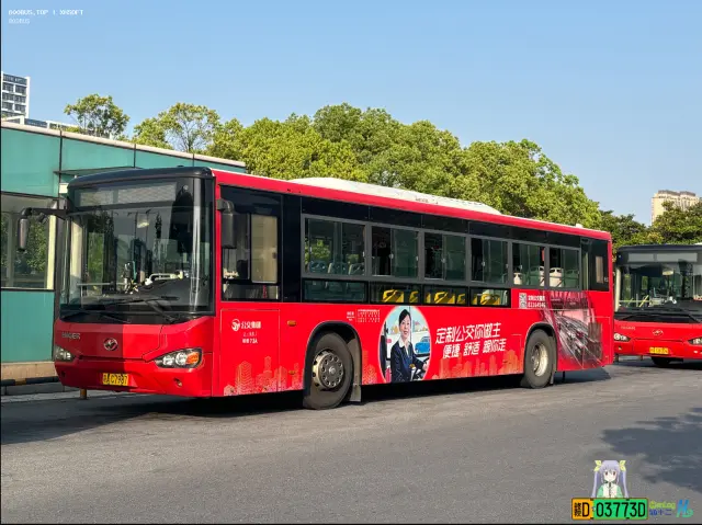 800BUS