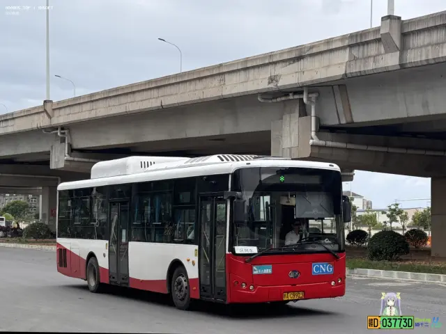 800BUS