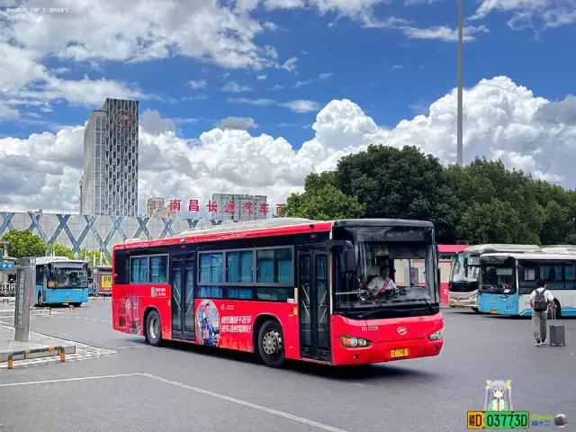 800BUS
