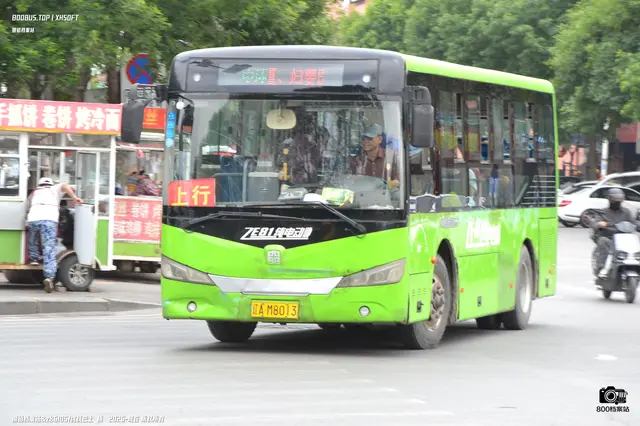 辽AM8013
