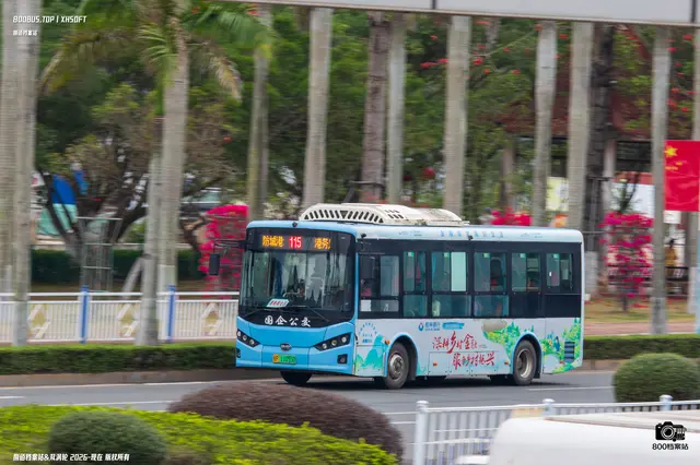 桂P 11055D