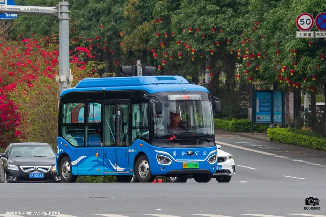桂P 11058D