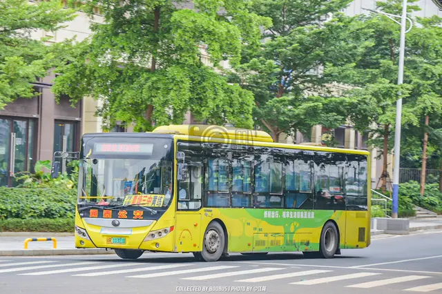 桂R 11311D