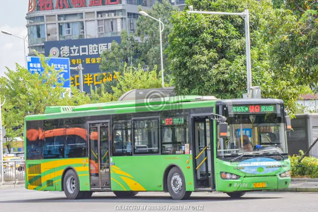 800BUS