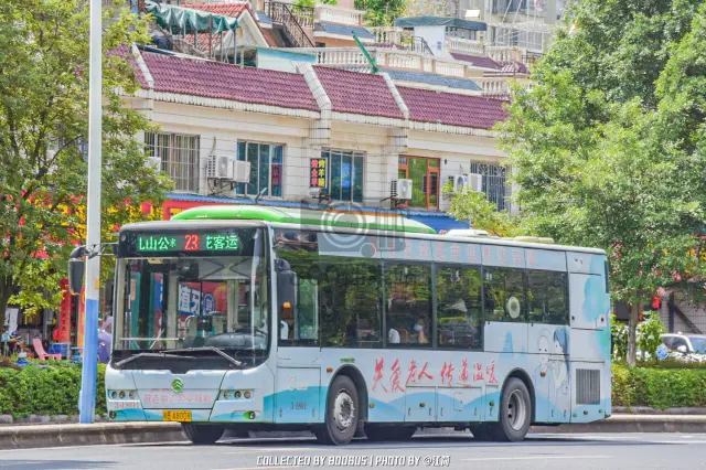 800BUS