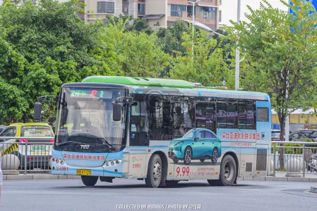 800BUS
