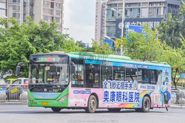 800BUS