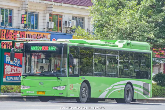 800BUS
