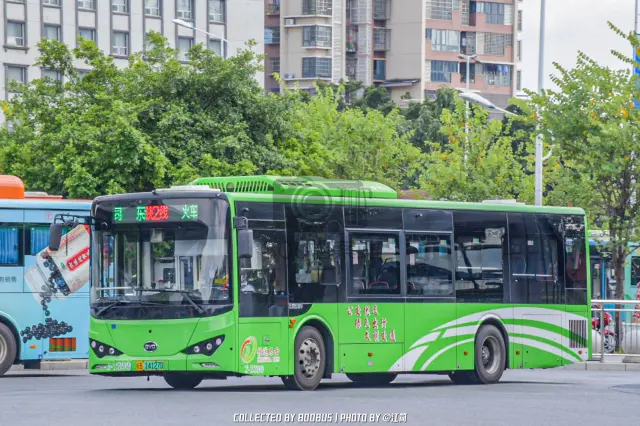 800BUS