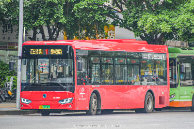 800BUS