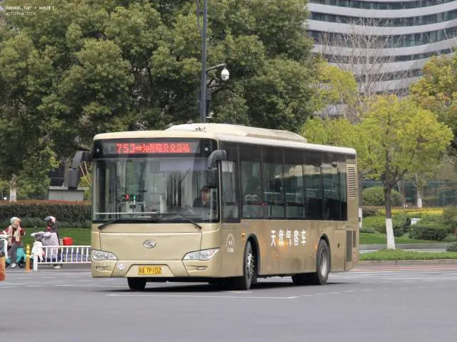 浙A7P102
