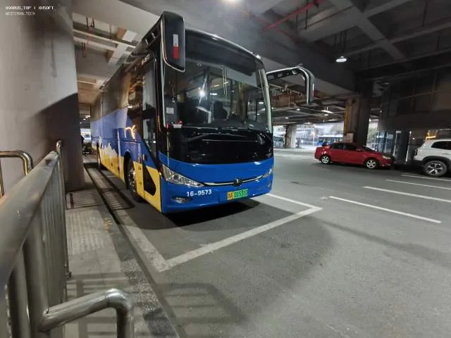 浙A01531D