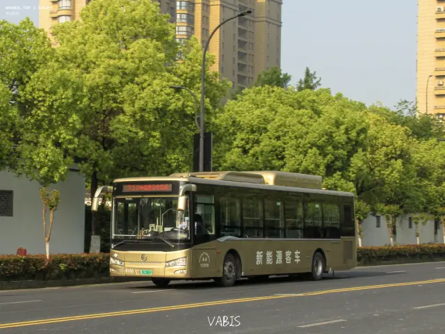 800BUS