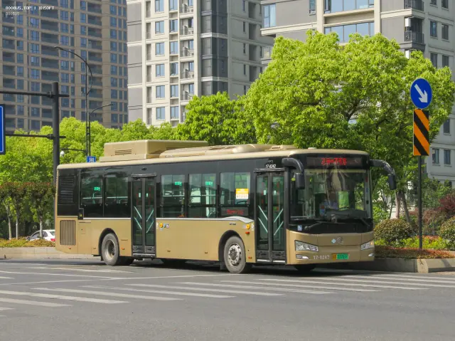 800BUS