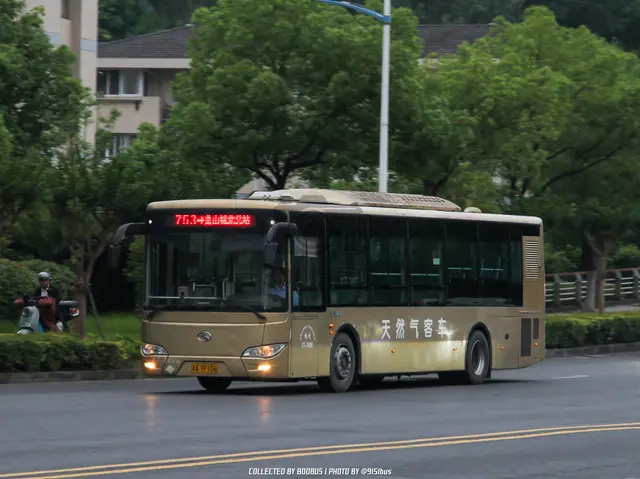 浙A 7P106