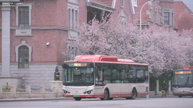 津A 02006D