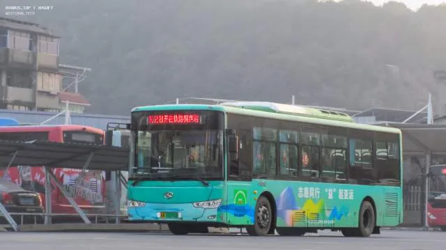 浙A 08290D（浙A 5S047）
