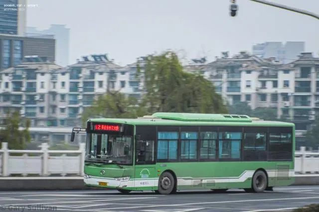 浙A 5S281