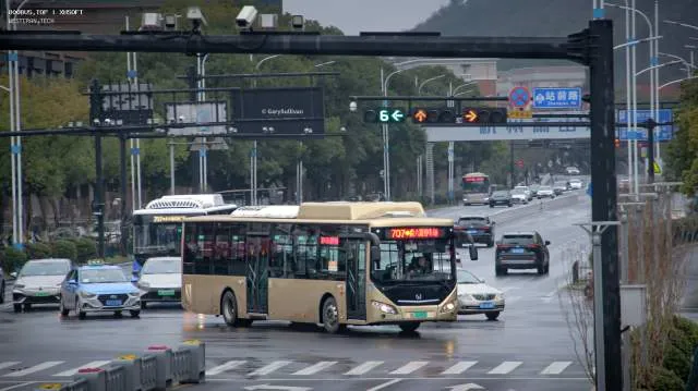 浙A 02685D