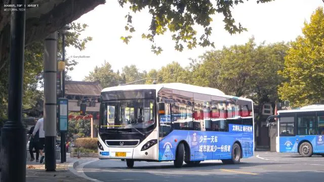 浙A 1S901